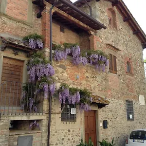 Il Glicine Laterina